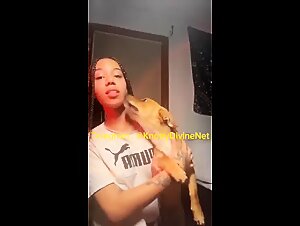 forbidden dog fuck : animal sex porn