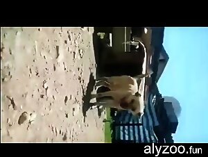 dogfucking cravings : zoo tubes